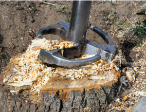 tree stump removal SA